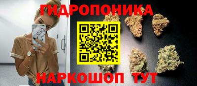 дживик Жуковский