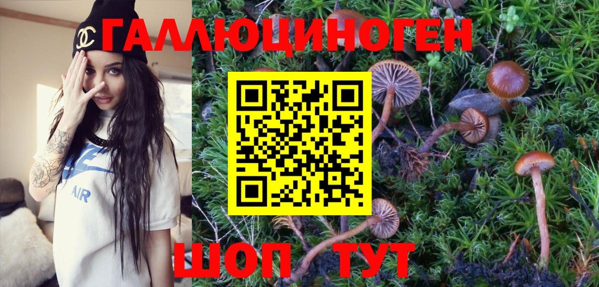 Псилоцибиновые грибы Magic Shrooms  Галлюциногенные грибы Psilocybine cubensis  Вход с VPN  Лениногорск 